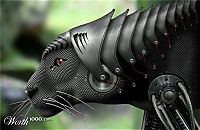 TopRq.com search results: animal cyborg