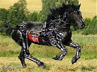 Art & Creativity: animal cyborg