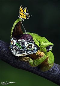 TopRq.com search results: animal cyborg