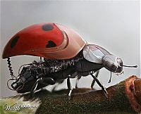 TopRq.com search results: animal cyborg