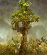 TopRq.com search results: unrealistic landscape