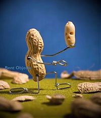 TopRq.com search results: bent objects by terry border