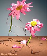 Art & Creativity: bent objects by terry border