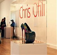 Art & Creativity: shoes from elephant dung