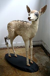 Art & Creativity: Mechanical taxidermy