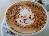 Art & Creativity: latte art