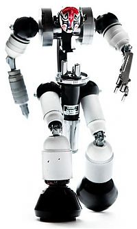 TopRq.com search results: handmade robot