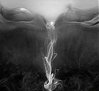 Art & Creativity: smoke art photography