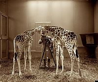 Art & Creativity: History: retro photography