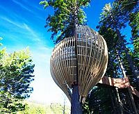 Art & Creativity: Redwoods Crysalis Treehouse restaurant, New Zealand