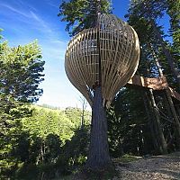 Art & Creativity: Redwoods Crysalis Treehouse restaurant, New Zealand