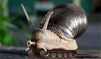 TopRq.com search results: cyborg animal and insect