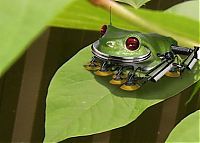 TopRq.com search results: cyborg animal and insect