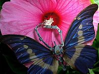 Art & Creativity: cyborg animal and insect