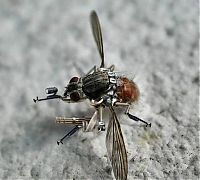TopRq.com search results: cyborg animal and insect