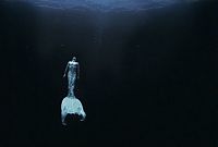 Art & Creativity: underwater photography