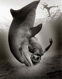 Art & Creativity: underwater photography