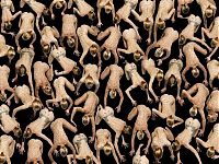 Art & Creativity: Human patterns by Claudia Rogge