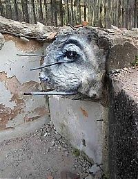 Art & Creativity: Creative graffiti, Brazil