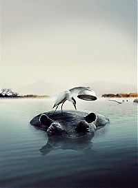 Art & Creativity: creative digital photography manipulation