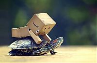 TopRq.com search results: Life of Danbo