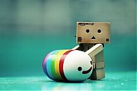 Art & Creativity: Life of Danbo