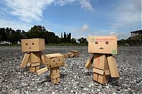 Art & Creativity: Life of Danbo