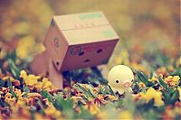 Art & Creativity: Life of Danbo