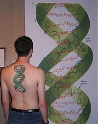 Art & Creativity: scientific tattoo