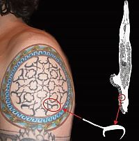 Art & Creativity: scientific tattoo