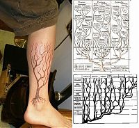 Art & Creativity: scientific tattoo