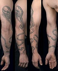 TopRq.com search results: scientific tattoo