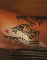 Art & Creativity: scientific tattoo