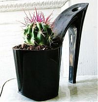 Art & Creativity: planting flowers in women shoes