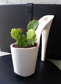 TopRq.com search results: planting flowers in women shoes