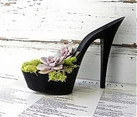 Art & Creativity: planting flowers in women shoes