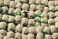 TopRq.com search results: repetitious photo art