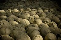 TopRq.com search results: repetitious photo art