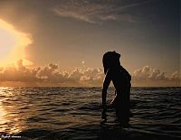 TopRq.com search results: human silhouettes photo