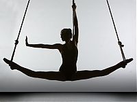 TopRq.com search results: human silhouettes photo