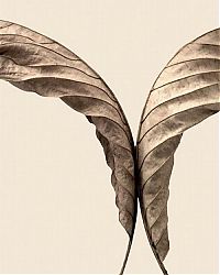 TopRq.com search results: dry leaves art