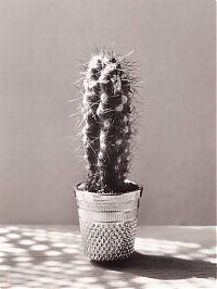 TopRq.com search results: Black and white surrealistic photo by Chema Madoz