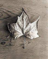 Art & Creativity: Black and white surrealistic photo by Chema Madoz