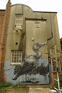 Art & Creativity: animal street art graffiti