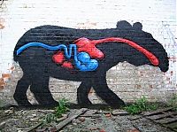 Art & Creativity: animal street art graffiti