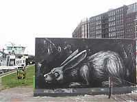 Art & Creativity: animal street art graffiti