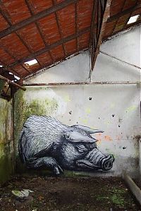 Art & Creativity: animal street art graffiti