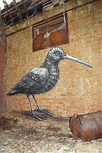 Art & Creativity: animal street art graffiti