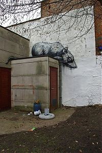 Art & Creativity: animal street art graffiti