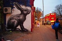 Art & Creativity: animal street art graffiti